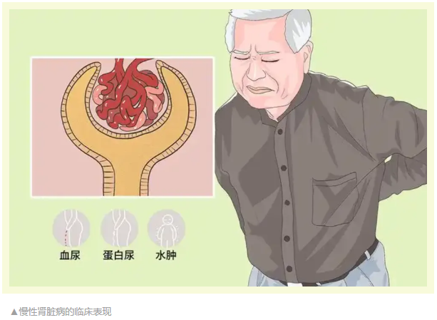 微信图片_20250314090727.png