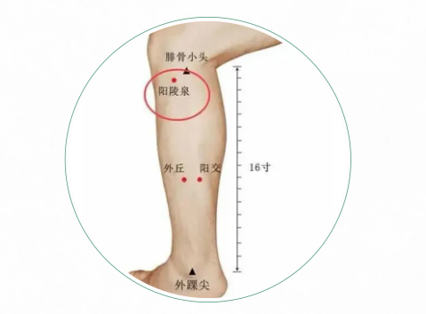 微信图片_20250423084503.png